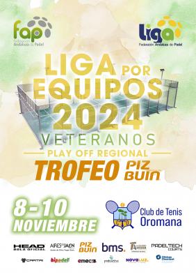 poster del torneo COPA DE ANDALUCIA LIGA FAP TROFEO PIZBUIN - VETERANOS